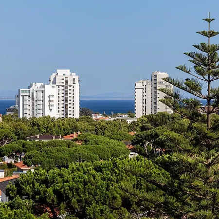 Joivy Bright Bohemian Flat In *